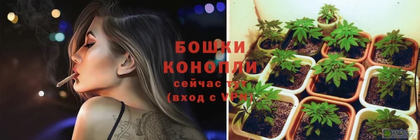 трава Алексин