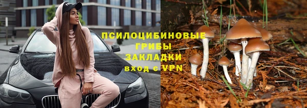 PSILOCYBIN Алзамай