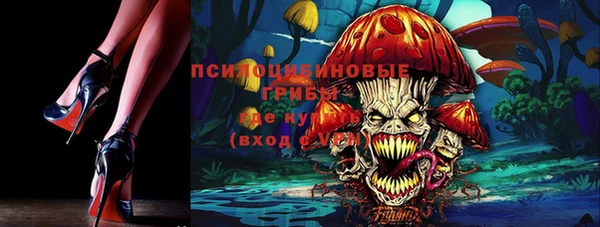 МДПВ Абаза