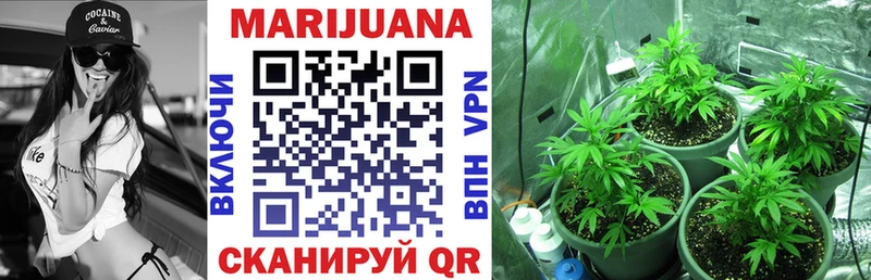 где купить наркоту  Уварово  Бошки марихуана THC 21% 